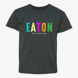 Eaton New Hampshire Color Pop Youth T-shirt