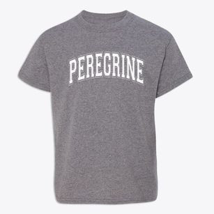 Peregrine Elementary School Varsity Arch Youth T-shirt