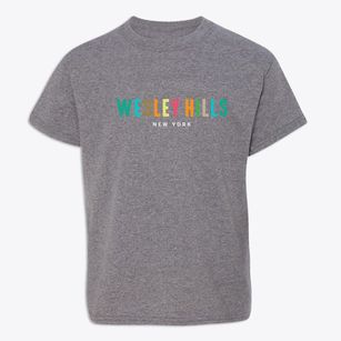 Wesley Hills New York Color Pop Youth T-shirt