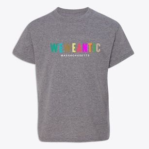 Weweantic Massachusetts Color Pop Youth T-shirt