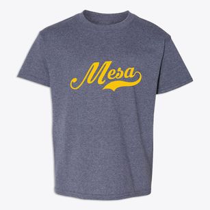 Mesa Arizona Vintage Team Youth T-shirt
