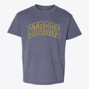 Storrs Connecticut Trendy Block Youth T-shirt