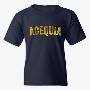 Acequia Idaho Timeless Retro Youth T-shirt