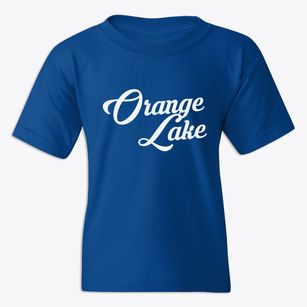 Orange Lake New York Vintage Team Youth T-shirt