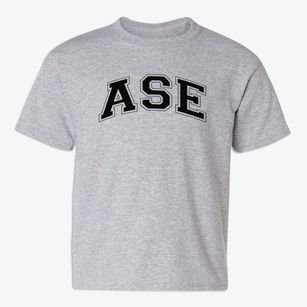 Albuquerque School Of Excellence Varsity Arch Youth T-shirt
