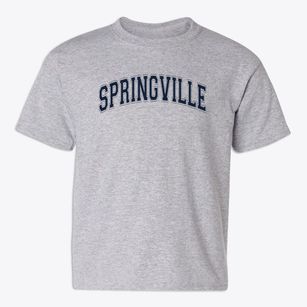 Springville Elementary School Varsity Arch Youth T-shirt
