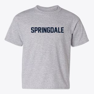 Springdale Pennsylvania Classic Block Youth T-shirt