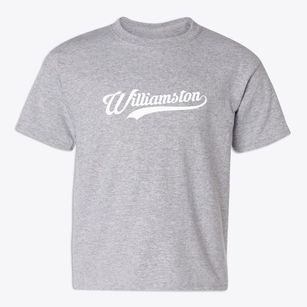 Williamston Michigan Vintage Team Youth T-shirt