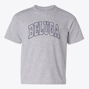 Beluga Alaska Trendy Block Youth T-shirt