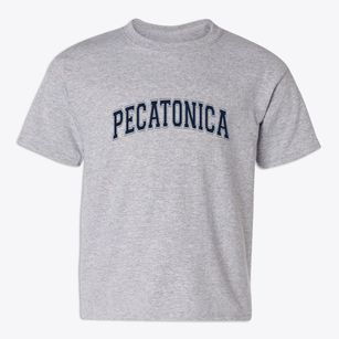 Pecatonica Illinois Varsity Youth T-shirt