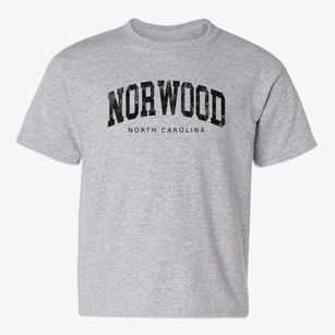 Norwood North Carolina Urban Vibe Youth T-shirt