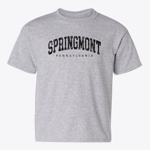 Springmont Pennsylvania Urban Vibe Youth T-shirt