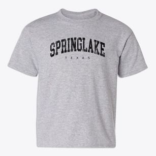 Springlake Texas Urban Vibe Youth T-shirt