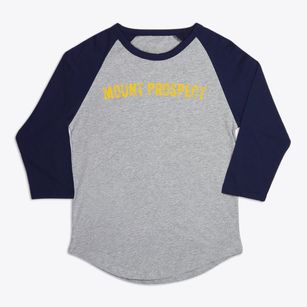 Mount Prospect Illinois Timeless Retro Premium Baseball Tee
