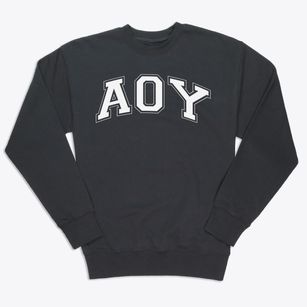 Aoy Elementary School Varsity Arch Premium Crewneck Sweatshirt