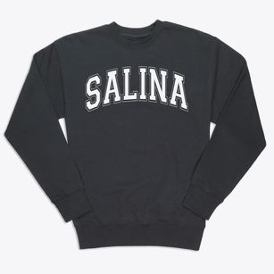 Salina Alternative School Varsity Arch Premium Crewneck Sweatshirt