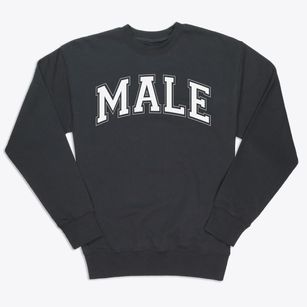 Louisville Male High School Varsity Arch Premium Crewneck Sweatshirt
