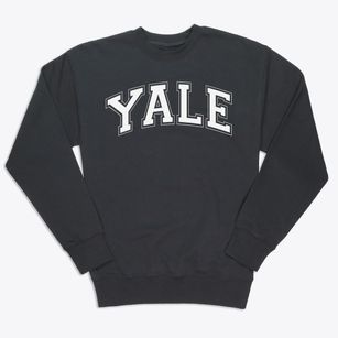 Young Adult Learning Experience Varsity Arch Premium Crewneck Sweatshirt