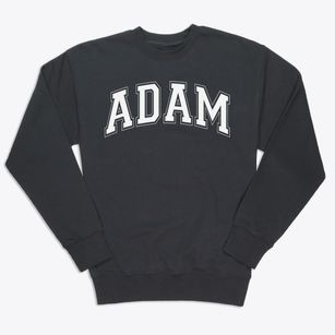 Adam Clayton Powel Junior High School Varsity Arch Premium Crewneck Sweatshirt