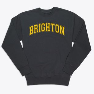 Brighton Elementary School Varsity Arch Premium Crewneck Sweatshirt