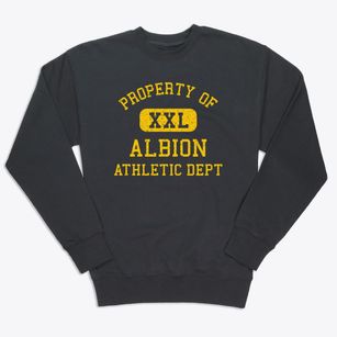 Albion Maine Athletic Dept Premium Crewneck Sweatshirt