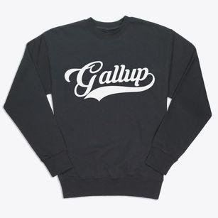 Gallup New Mexico Vintage Team Premium Crewneck Sweatshirt