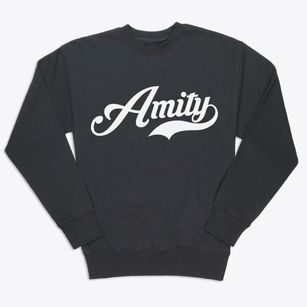 Amity Missouri Vintage Team Premium Crewneck Sweatshirt