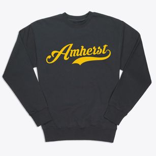 Amherst Wisconsin Vintage Team Premium Crewneck Sweatshirt