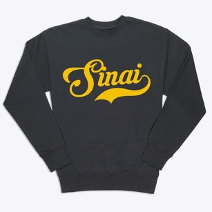 Sinai South Dakota Vintage Team Premium Crewneck Sweatshirt