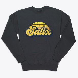 Salix Pennsylvania Sublime Sunset Premium Crewneck Sweatshirt