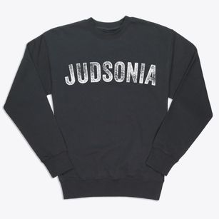 Judsonia Arkansas Timeless Retro Premium Crewneck Sweatshirt