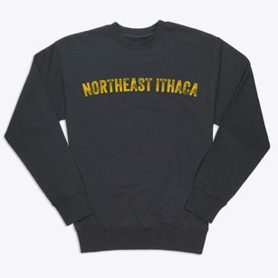 Northeast Ithaca New York Timeless Retro Premium Crewneck Sweatshirt