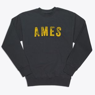 Ames Iowa Timeless Retro Premium Crewneck Sweatshirt