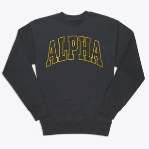 Alpha Illinois Trendy Block Premium Crewneck Sweatshirt