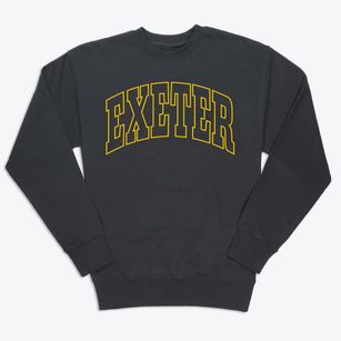 Exeter New Hampshire Trendy Block Premium Crewneck Sweatshirt