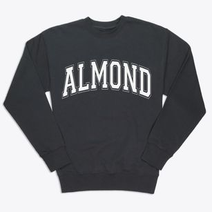 Almond New York Varsity Premium Crewneck Sweatshirt