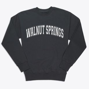 Walnut Springs Texas Varsity Premium Crewneck Sweatshirt
