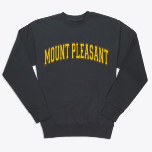 Mount Pleasant South Carolina Varsity Premium Crewneck Sweatshirt
