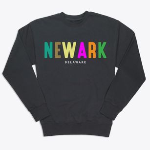 Newark Delaware Color Pop Premium Crewneck Sweatshirt