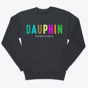 Dauphin Pennsylvania Color Pop Premium Crewneck Sweatshirt