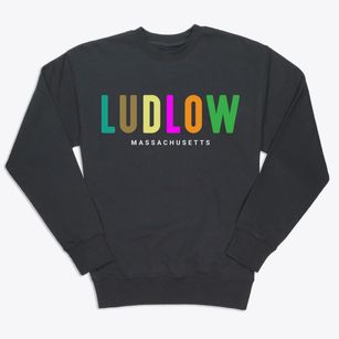 Ludlow Massachusetts Color Pop Premium Crewneck Sweatshirt