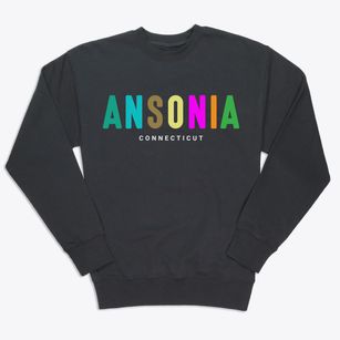 Ansonia Connecticut Color Pop Premium Crewneck Sweatshirt