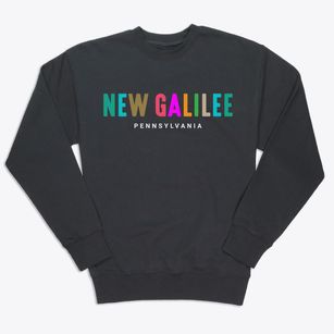 New Galilee Pennsylvania Color Pop Premium Crewneck Sweatshirt