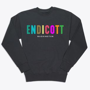 Endicott Washington Color Pop Premium Crewneck Sweatshirt