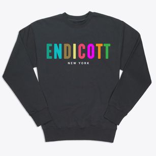 Endicott New York Color Pop Premium Crewneck Sweatshirt