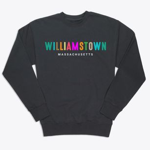 Williamstown Massachusetts Color Pop Premium Crewneck Sweatshirt
