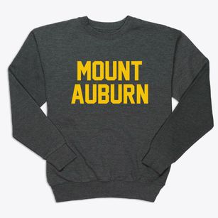 Mount Auburn Illinois Classic Block Premium Crewneck Sweatshirt