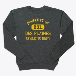 Des Plaines Illinois Athletic Dept Premium Crewneck Sweatshirt