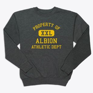 Albion Michigan Athletic Dept Premium Crewneck Sweatshirt