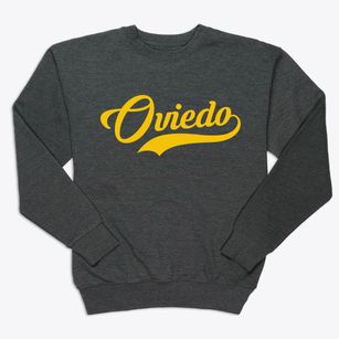 Oviedo Florida Vintage Team Premium Crewneck Sweatshirt